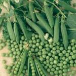 Горох Девіз, еліта, 98%