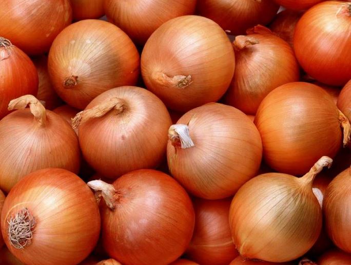 Насіння цибулі Халцедон купити, ціна