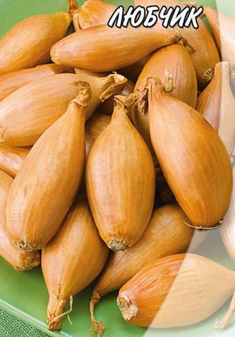 Насіння цибулі Любчик купити, ціна