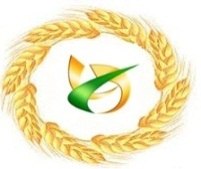 Товариство з обмеженою відповідальністю 