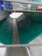 Системи гноєвидалення