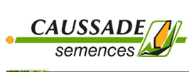 Насіння соняшника та кукурудзи компанії Коссад Семанс.
