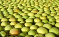 Антітранспірант АГРОКРОН